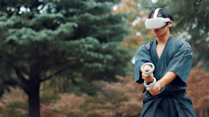 VR Martial Arts