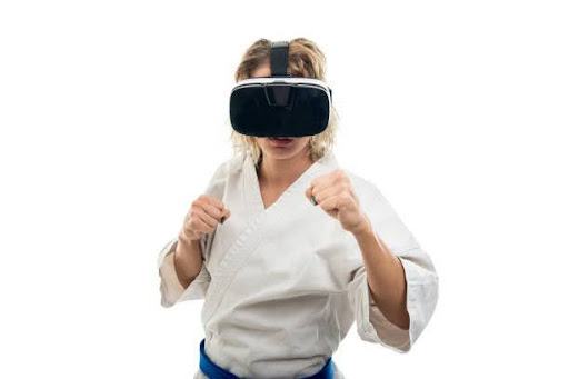 Martial Arts VR Simulator
