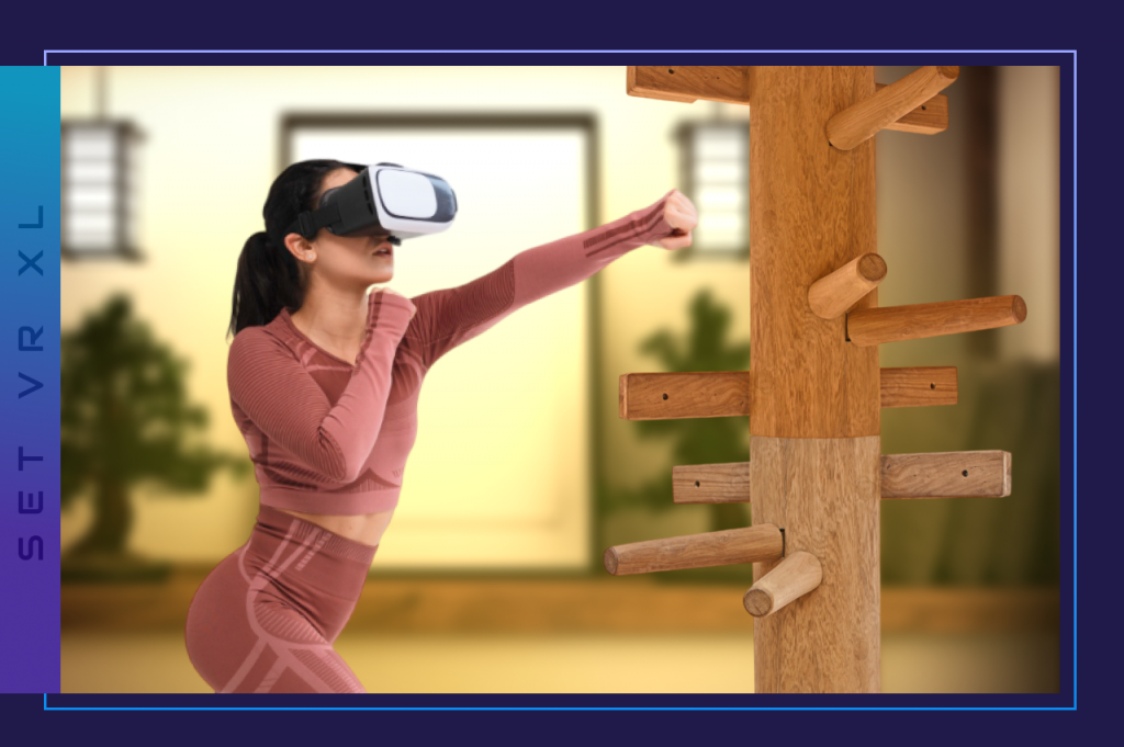VR Martial Artists