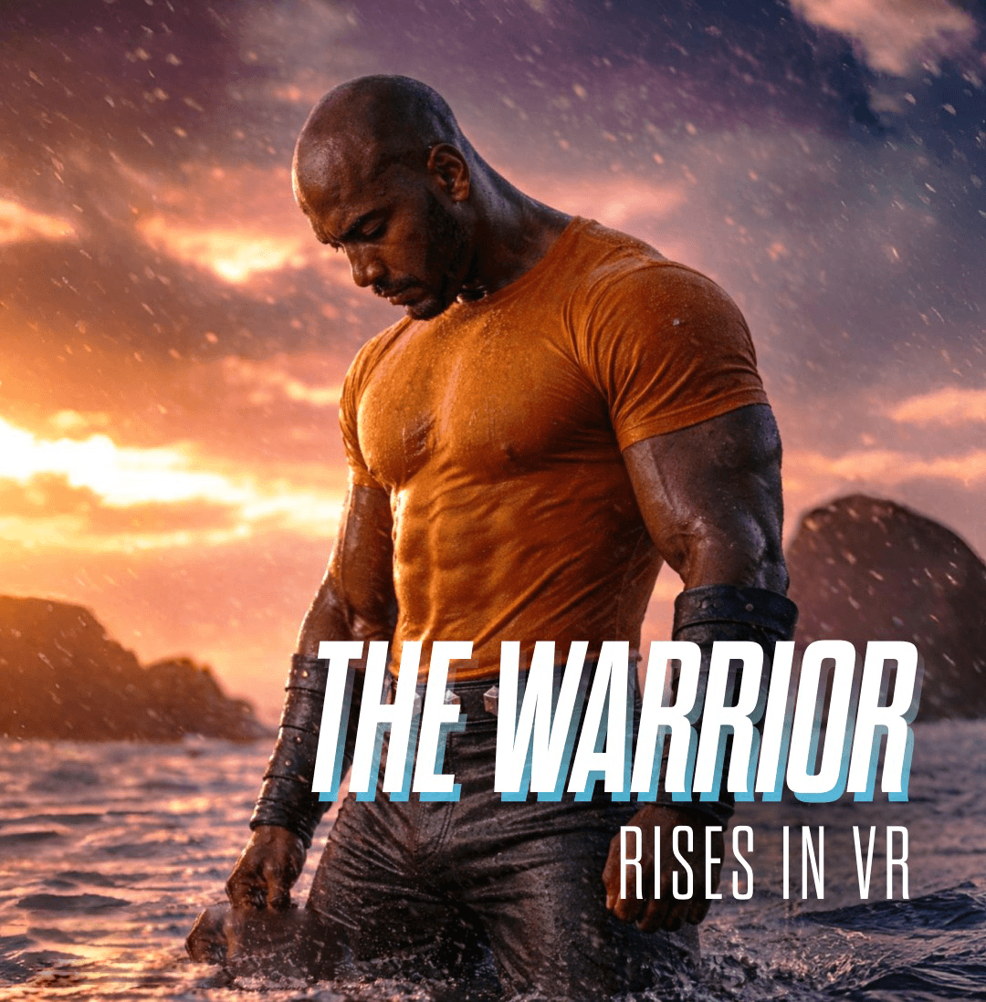 VR martial arts - SetVR-XL